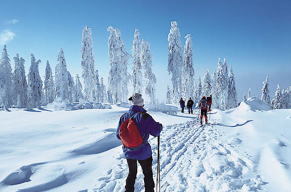 Winterurlaub in Mauth-Finsterau im Bayerischen Wald